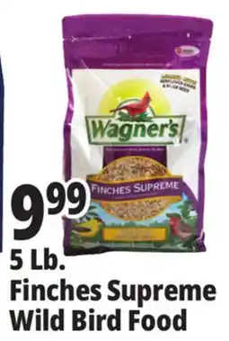 Ocean State Job Lot Better Bird Songbird Better Blends Food 5 lbs offer