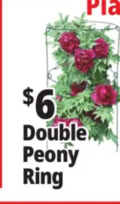 Ocean State Job Lot Peony Double Ring Plant Support 18 x 36 offer