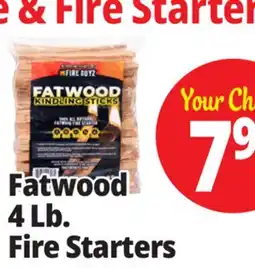 Ocean State Job Lot Fatwood Firestarter offer