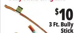 Ocean State Job Lot 3 Ft. Bully Stick offer