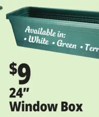 Ocean State Job Lot 24 Window Box offer