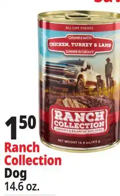 Ocean State Job Lot Ranch Collection Dog offer