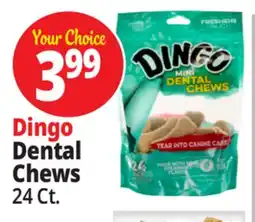 Ocean State Job Lot Dingo Dental Chews offer