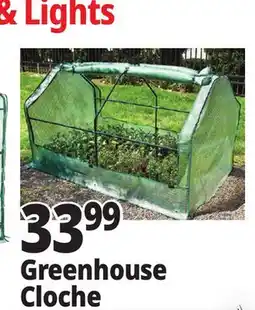 Ocean State Job Lot Greenhouse Cloche offer