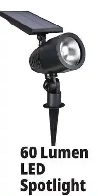 Ocean State Job Lot Outdoor Living Accents Solar LED Spotlight offer
