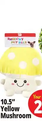 Ocean State Job Lot 10.5 Yellow Mushroom offer