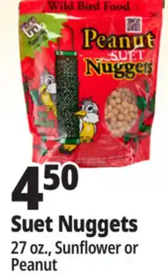 Ocean State Job Lot C&S Peanut Suet Nuggets Wild Bird Food 27 oz offer