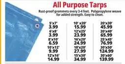 Ocean State Job Lot All Purpose Tarps offer