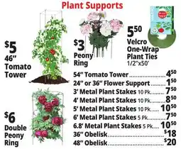 Ocean State Job Lot Plant Supports offer