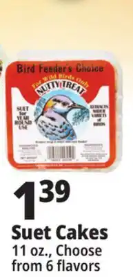 Ocean State Job Lot Bird Feeder's Choice High Energy Suet 11 oz offer