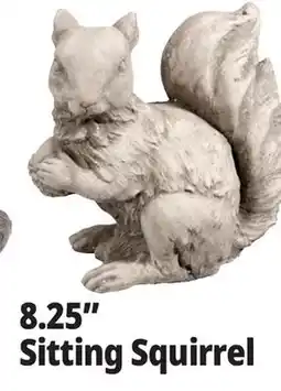 Ocean State Job Lot Squirrel Cement Statue Gray offer