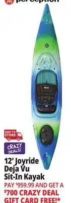 Ocean State Job Lot Perception Joyride 12.0 Recreational Kayak Deja Vu offer