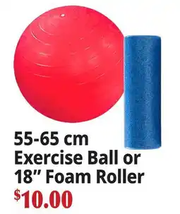 Ocean State Job Lot 55-65 cm Exercise Ball or 18 Foam Roller offer