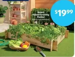 Aldi Belavi Raised Growing Planter offer