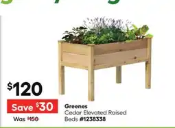 Lowe's Greenes Cedar Elevated Raised Beds offer