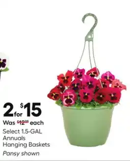 Lowe's Select 1.5-GAL Annuals Hanging Baskets offer