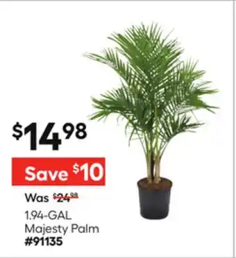 Lowe's 1.94-GAL Majesty Palm offer