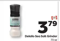 Weis Markets Delallo Sea Salt Grinder offer