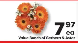 Weis Markets Value Bunch of Gerbera & Aster offer