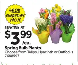 Stop&Shop Spring Bulb Plants offer