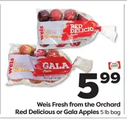 Weis Markets Weis Fresh from the Orchard Red Delicious or Gala Apples offer