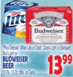 Bravo Supermarkets BUDWEISER BEER offer