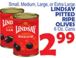 Bravo Supermarkets LINDSAY PITTED RIPE OLIVES offer