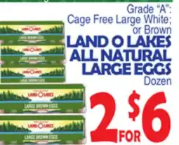 Bravo Supermarkets LAND O LAKES ALL NATURAL LARGE EGGS offer