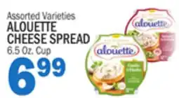Bravo Supermarkets ALOUETTE CHEESE SPREAD offer