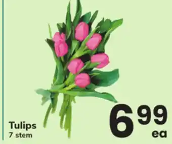 ACME Tulips offer