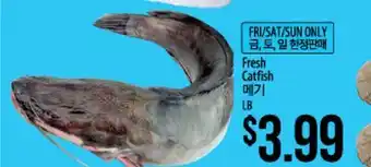Hmart Fresh Catfish offer