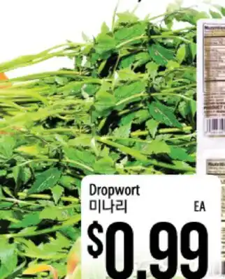 Hmart Dropwort offer