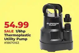 Runnings Superior Pump 1/6hp Thermoplastic Utility Pump offer