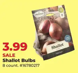 Runnings DeGroot Shallot Bulbs offer