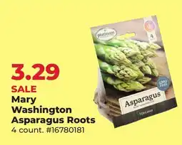 Runnings Mary Washington Asparagus Roots offer