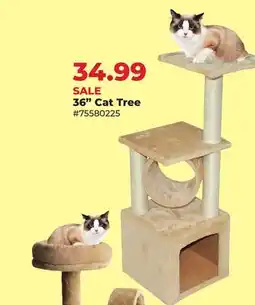 Runnings Main St. Pet 36 Cat Tree offer