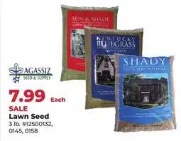Runnings Lawn Seed offer
