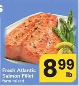 Safeway Fresh Atlantic Salmon Fillet offer