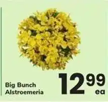 Safeway Big Bunch Alstroemeria offer
