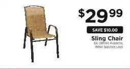 ShopRite Sling Chair offer