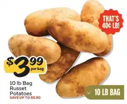 Winn Dixie 10 lb Bag Russet Potatoes offer