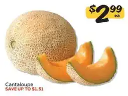 Winn Dixie Cantaloupe offer