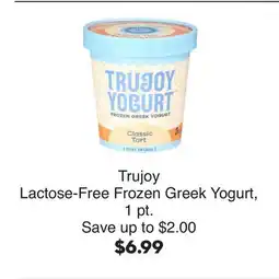 Bristol Farms Trujoy Lactose-Free Frozen Greek Yogurt, 1 pt offer