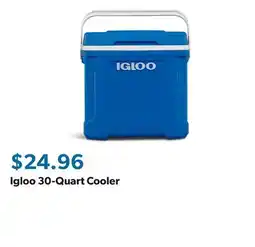 Sam's Club Igloo 30-Quart Cooler offer
