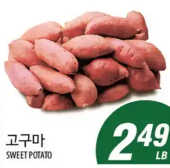 Joong Boo Market SWEET POTATO offer