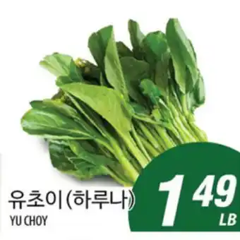 Joong Boo Market YU CHOY offer