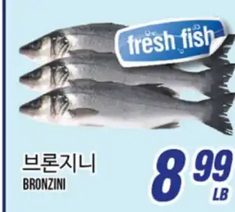 Joong Boo Market BRONZINI offer