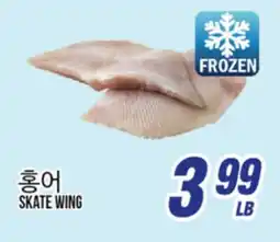 Joong Boo Market SKATE WING offer