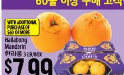 Hmart Hallabong Mandarin offer