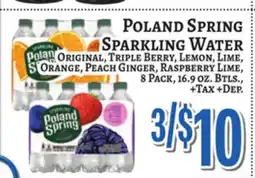 Trade Fair Supermarket Poland Spring Sparkling Water offer